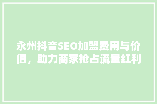 永州抖音SEO加盟费用与价值，助力商家抢占流量红利
