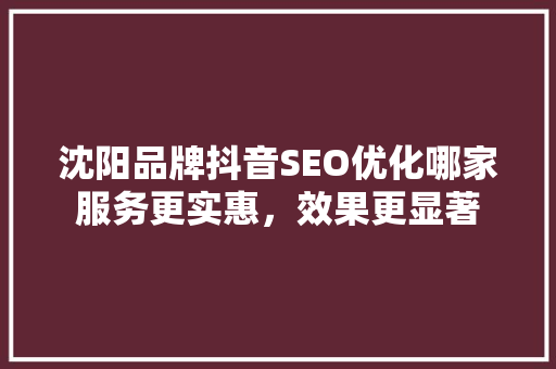沈阳品牌抖音SEO优化哪家服务更实惠，效果更显著