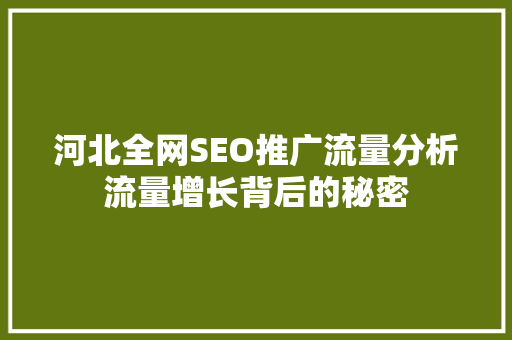 河北全网SEO推广流量分析流量增长背后的秘密