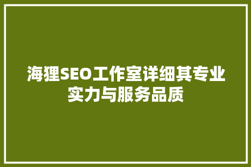 海狸SEO工作室详细其专业实力与服务品质