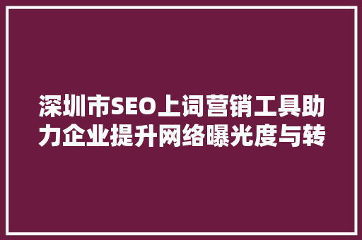 深圳市SEO上词营销工具助力企业提升网络曝光度与转化率