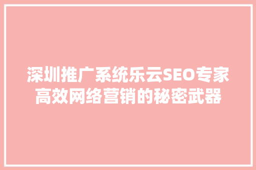 深圳推广系统乐云SEO专家高效网络营销的秘密武器
