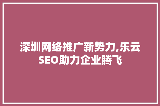 深圳网络推广新势力,乐云SEO助力企业腾飞