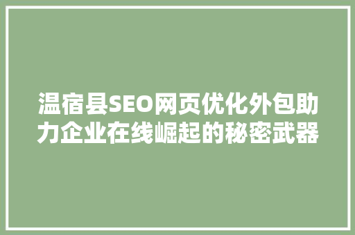 温宿县SEO网页优化外包助力企业在线崛起的秘密武器