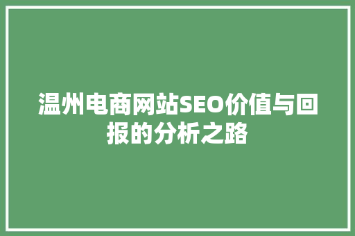 温州电商网站SEO价值与回报的分析之路