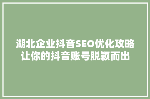 湖北企业抖音SEO优化攻略让你的抖音账号脱颖而出
