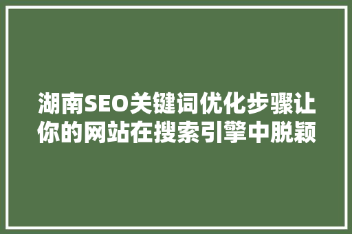 湖南SEO关键词优化步骤让你的网站在搜索引擎中脱颖而出