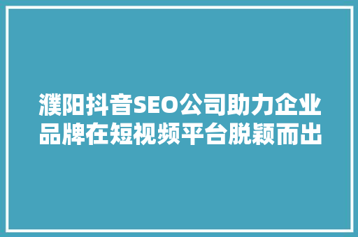 濮阳抖音SEO公司助力企业品牌在短视频平台脱颖而出