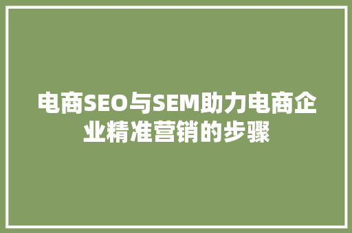 电商SEO与SEM助力电商企业精准营销的步骤