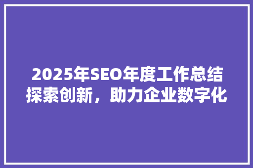 2025年SEO年度工作总结探索创新，助力企业数字化转型升级