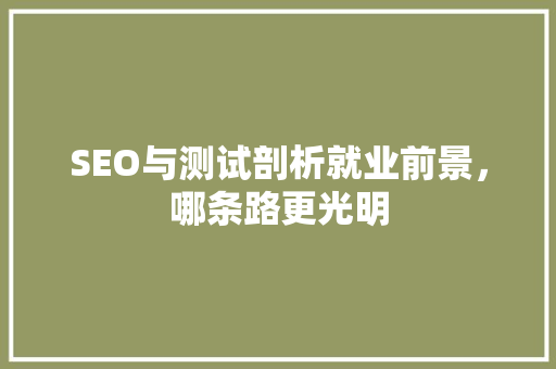 SEO与测试剖析就业前景，哪条路更光明