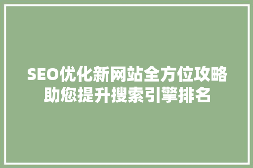SEO优化新网站全方位攻略助您提升搜索引擎排名