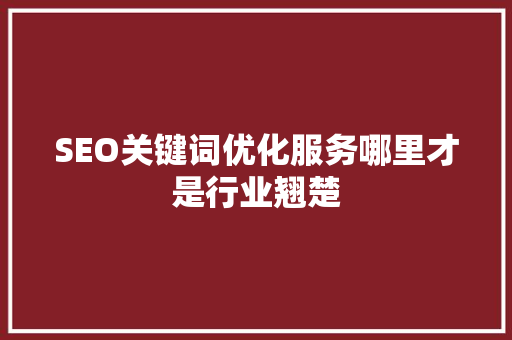 SEO关键词优化服务哪里才是行业翘楚