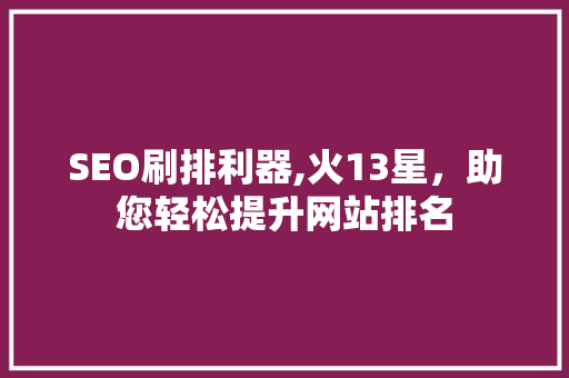 SEO刷排利器,火13星，助您轻松提升网站排名