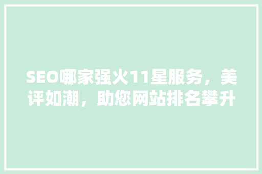 SEO哪家强火11星服务，美评如潮，助您网站排名攀升