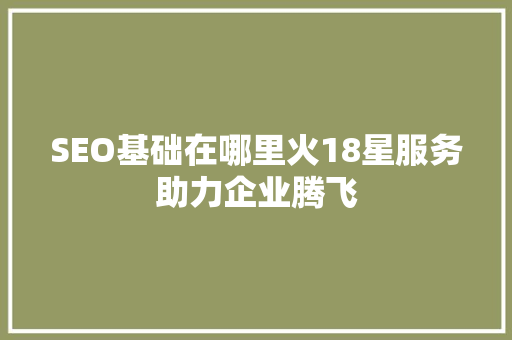 SEO基础在哪里火18星服务助力企业腾飞