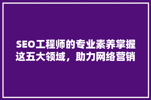 SEO工程师的专业素养掌握这五大领域，助力网络营销腾飞
