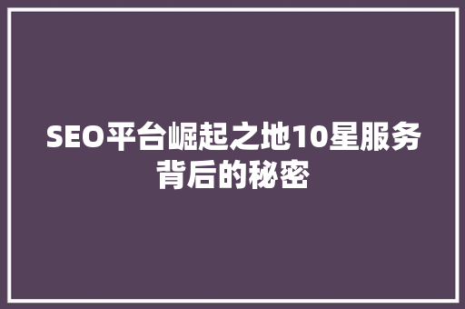 SEO平台崛起之地10星服务背后的秘密
