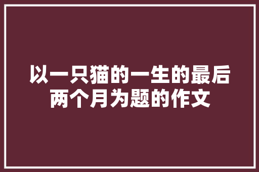 介绍神马SEO电话,助力企业网站优化，提升搜索引擎排名