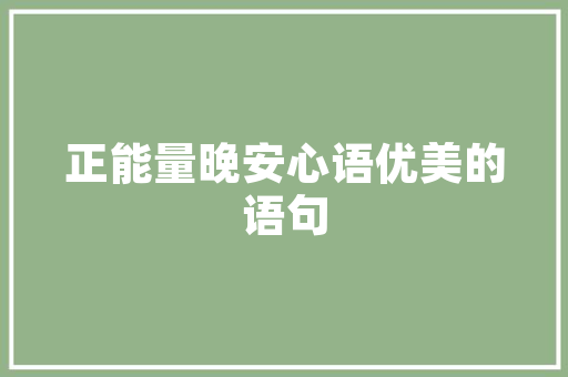 介绍精致SEO运营之路,关键词布局的艺术与方法