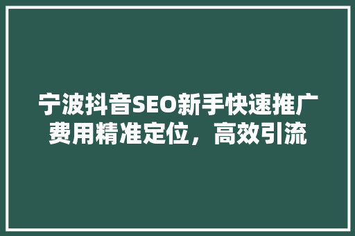 宁波抖音SEO新手快速推广费用精准定位，高效引流
