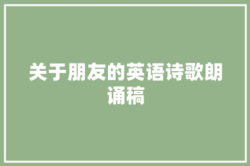 介绍阿健SEO,助力企业网站优化之路