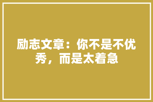 信任乐云SEO_介绍专业SEO公司费用背后的价值与保障