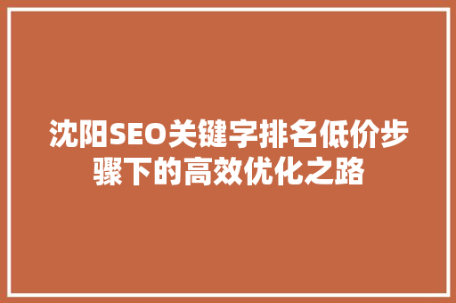 沈阳SEO关键字排名低价步骤下的高效优化之路