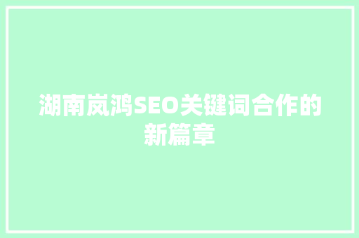 湖南岚鸿SEO关键词合作的新篇章