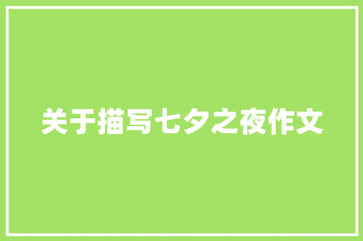 前端优化SEO,提升网站排名，优化用户体验的关键步骤