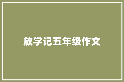 包装SEO优化流程全介绍,让您的产品在互联网上脱颖而出