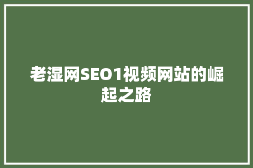老湿网SEO1视频网站的崛起之路