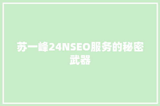 苏一峰24NSEO服务的秘密武器