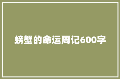 南京SEO技术实力之乐云SEO,引领行业潮流的佼佼者