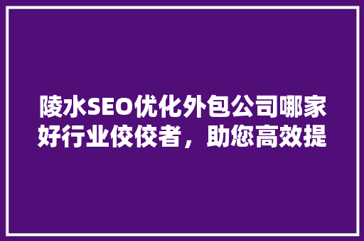 陵水SEO优化外包公司哪家好行业佼佼者，助您高效提升网站排名