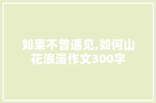 周立国SEO,介绍高效SEO步骤，助力企业网站优化与排名提升