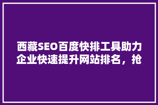 西藏SEO百度快排工具助力企业快速提升网站排名，抢占市场先机  第1张