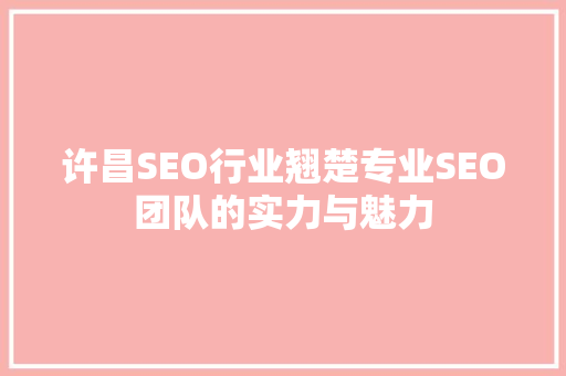 许昌SEO行业翘楚专业SEO团队的实力与魅力