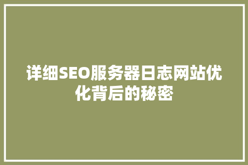 详细SEO服务器日志网站优化背后的秘密