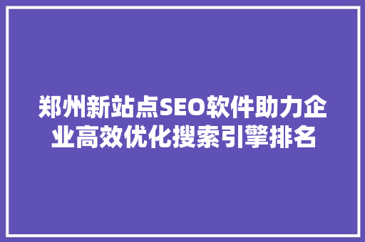 郑州新站点SEO软件助力企业高效优化搜索引擎排名