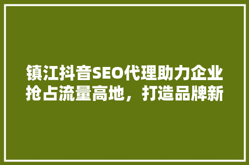 镇江抖音SEO代理助力企业抢占流量高地，打造品牌新格局