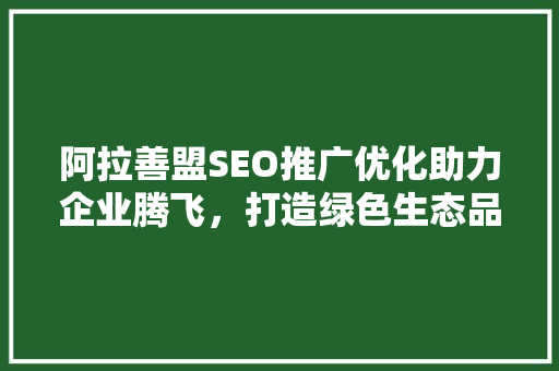 阿拉善盟SEO推广优化助力企业腾飞，打造绿色生态品牌
