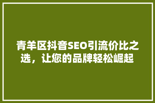 青羊区抖音SEO引流价比之选，让您的品牌轻松崛起