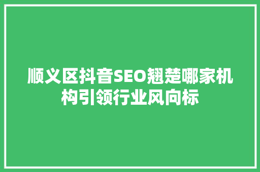 顺义区抖音SEO翘楚哪家机构引领行业风向标