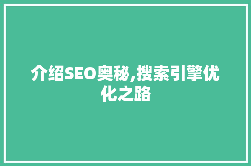 介绍SEO奥秘,搜索引擎优化之路