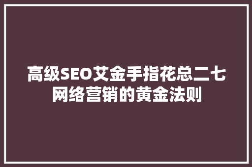 高级SEO艾金手指花总二七网络营销的黄金法则