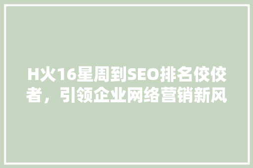 H火16星周到SEO排名佼佼者，引领企业网络营销新风尚