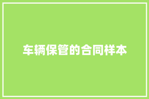 介绍仙桃SEO机构,助力企业网络营销新篇章  第1张