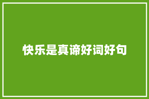 介绍南沙SEO价格之谜,投资与回报的精准平衡