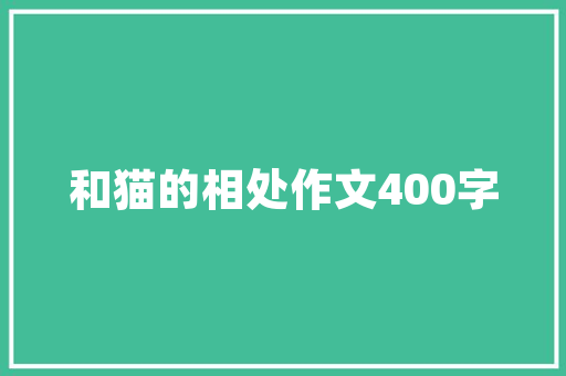 介绍来宾网站SEO优化步骤,助力企业提升在线竞争力